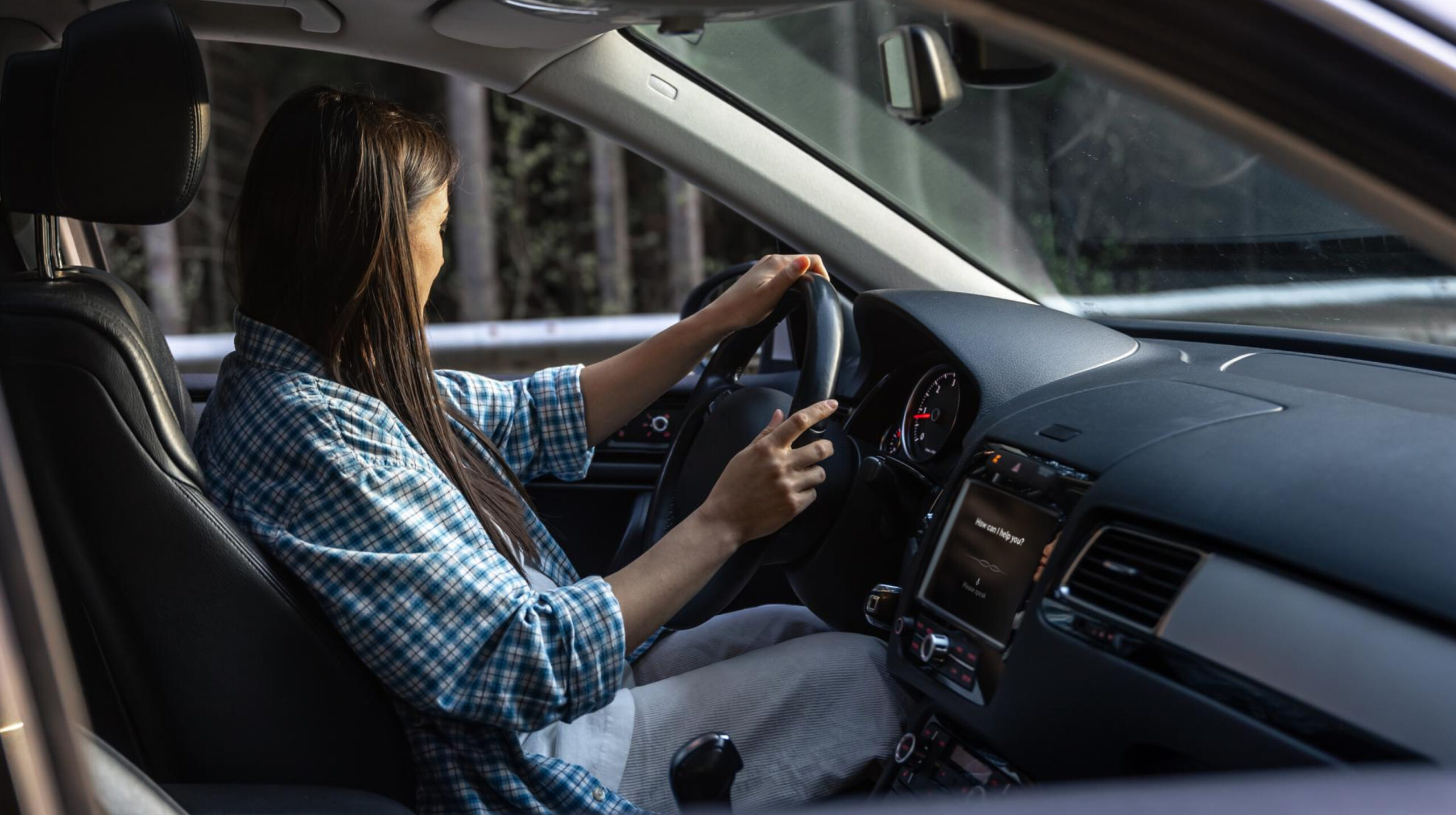 IVO voice assistant and driver